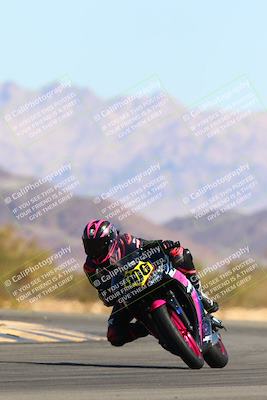 media/Mar-12-2022-SoCal Trackdays (Sat) [[152081554b]]/Turn 14 (10am)/